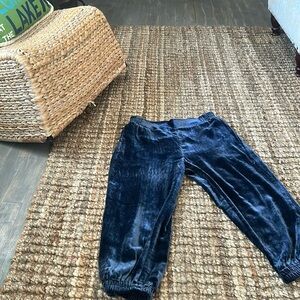 GO by Go Silk Royal Blue Velvet Lounge Pant Size XS